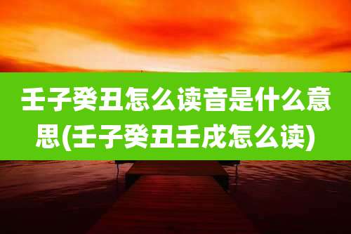 壬子癸丑怎么读音是什么意思(壬子癸丑壬戌怎么读)