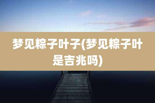 梦见粽子叶子(梦见粽子叶是吉兆吗)