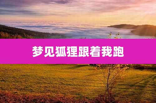 梦见狐狸跟着我跑