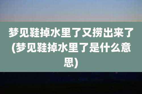 梦见鞋掉水里了又捞出来了(梦见鞋掉水里了是什么意思)