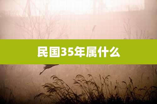 民国35年属什么