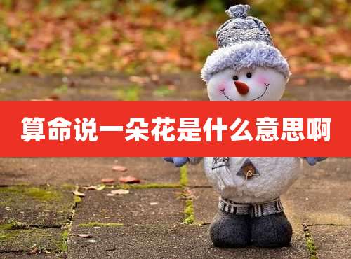算命说一朵花是什么意思啊