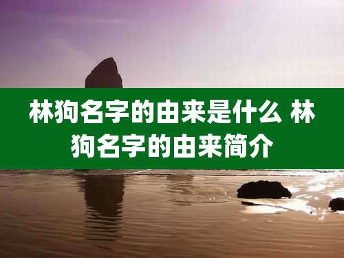 林狗名字的由来是什么 林狗名字的由来简介