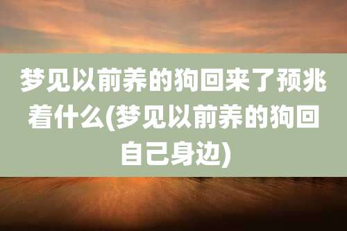 梦见以前养的狗回来了预兆着什么(梦见以前养的狗回自己身边)