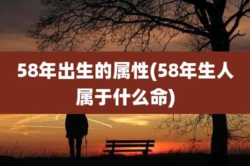 58年出生的属性(58年生人属于什么命)