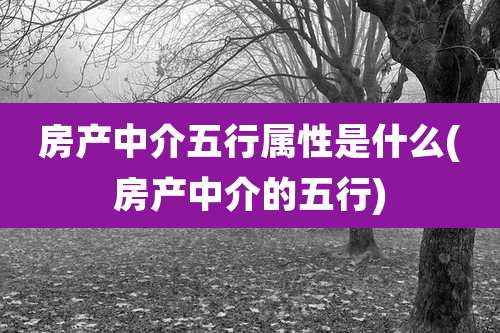 房产中介五行属性是什么(房产中介的五行)