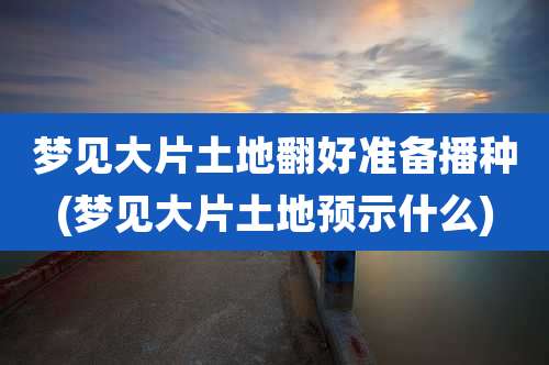 梦见大片土地翻好准备播种(梦见大片土地预示什么)