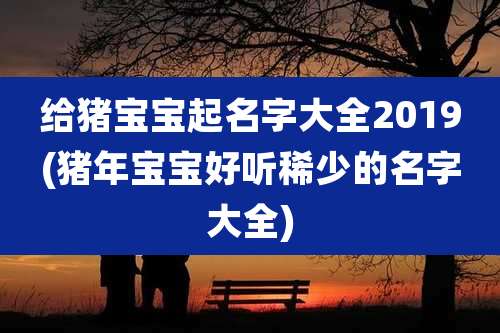 给猪宝宝起名字大全2019(猪年宝宝好听稀少的名字大全)