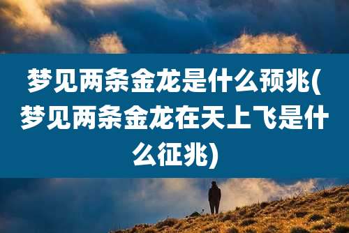 梦见两条金龙是什么预兆(梦见两条金龙在天上飞是什么征兆)