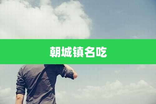 朝城镇名吃