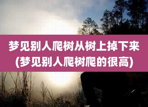 梦见别人爬树从树上掉下来(梦见别人爬树爬的很高)