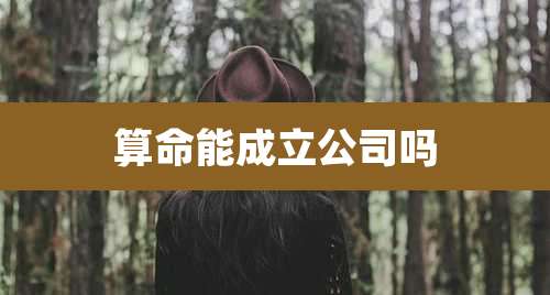 算命能成立公司吗