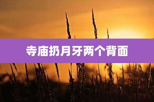 寺庙扔月牙两个背面