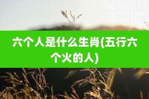 六个人是什么生肖(五行六个火的人)
