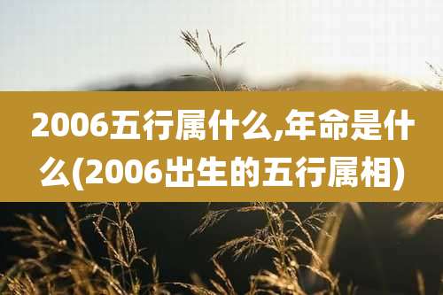2006五行属什么,年命是什么(2006出生的五行属相)