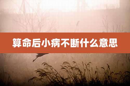 算命后小病不断什么意思