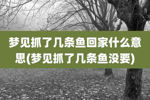 梦见抓了几条鱼回家什么意思(梦见抓了几条鱼没要)