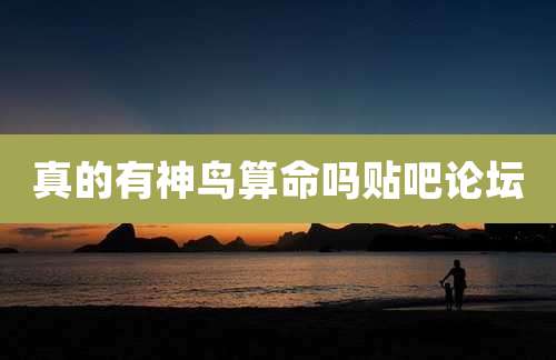 真的有神鸟算命吗贴吧论坛