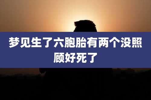 梦见生了六胞胎有两个没照顾好死了