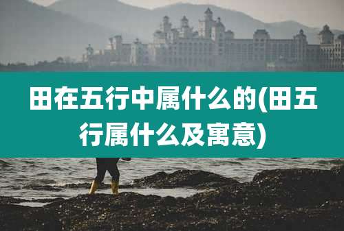 田在五行中属什么的(田五行属什么及寓意)