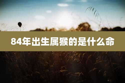 84年出生属猴的是什么命