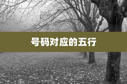 号码对应的五行