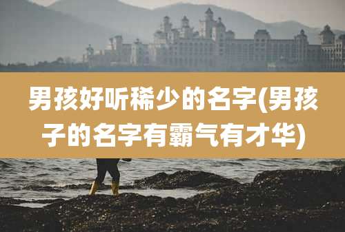 男孩好听稀少的名字(男孩子的名字有霸气有才华)