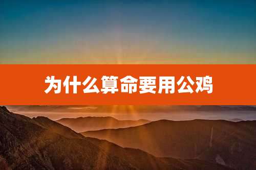 为什么算命要用公鸡