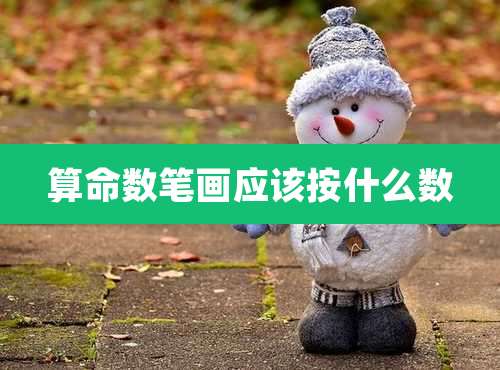 算命数笔画应该按什么数