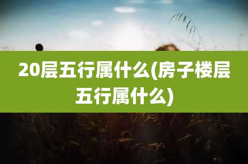 20层五行属什么(房子楼层五行属什么)