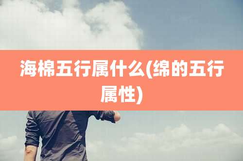 海棉五行属什么(绵的五行属性)