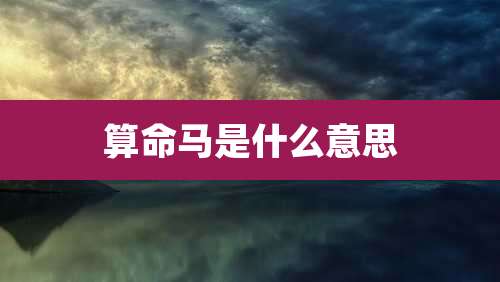 算命马是什么意思