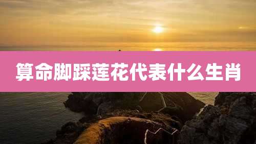 算命脚踩莲花代表什么生肖