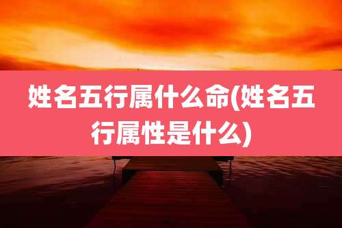 姓名五行属什么命(姓名五行属性是什么)