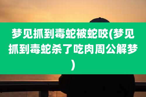 梦见抓到毒蛇被蛇咬(梦见抓到毒蛇杀了吃肉周公解梦)