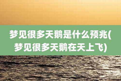 梦见很多天鹅是什么预兆(梦见很多天鹅在天上飞)