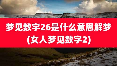 梦见数字26是什么意思解梦(女人梦见数字2)