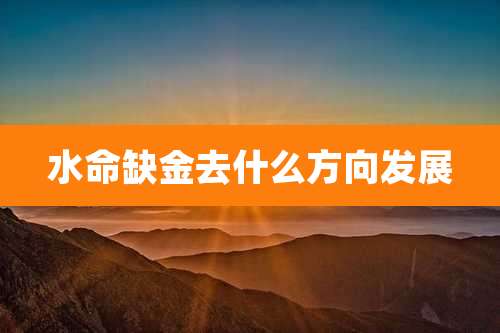 水命缺金去什么方向发展