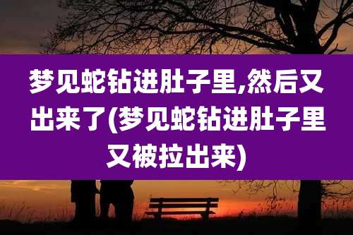 梦见蛇钻进肚子里,然后又出来了(梦见蛇钻进肚子里又被拉出来)