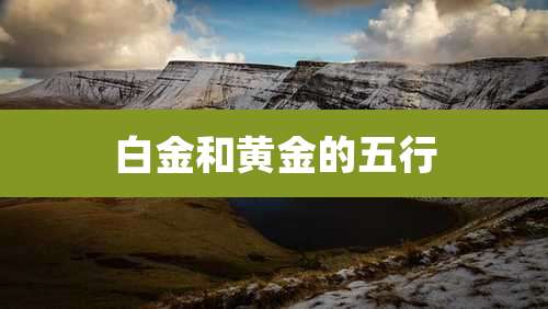 白金和黄金的五行