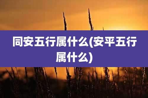 同安五行属什么(安平五行属什么)