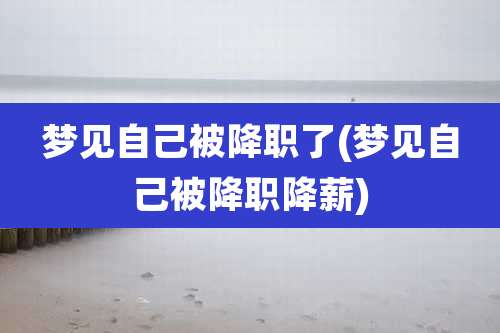 梦见自己被降职了(梦见自己被降职降薪)