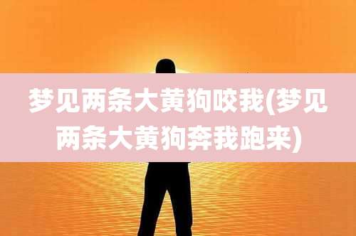 梦见两条大黄狗咬我(梦见两条大黄狗奔我跑来)