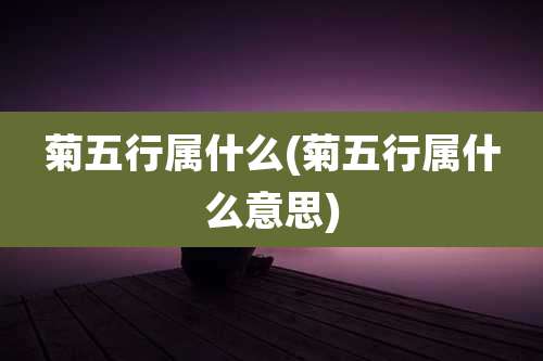 菊五行属什么(菊五行属什么意思)
