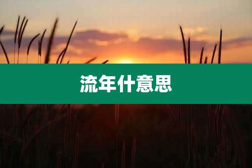 流年什意思