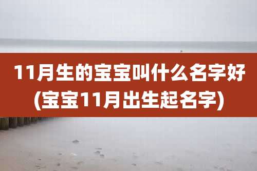11月生的宝宝叫什么名字好(宝宝11月出生起名字)
