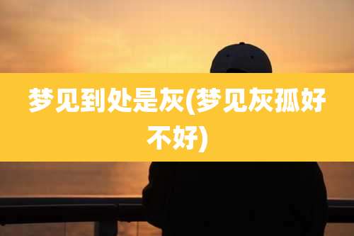 梦见到处是灰(梦见灰孤好不好)