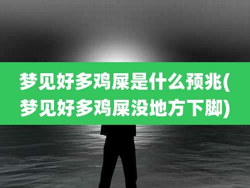 梦见好多鸡屎是什么预兆(梦见好多鸡屎没地方下脚)