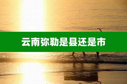 云南弥勒是县还是市