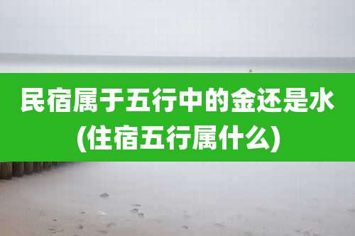 民宿属于五行中的金还是水(住宿五行属什么)